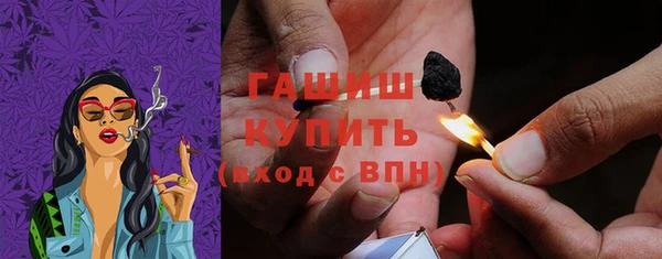 прущие грибы Гусев