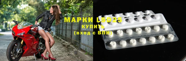 прущие грибы Гусев
