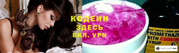 прущие грибы Гусев