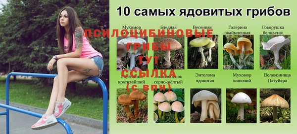 альфа пвп VHQ Гусиноозёрск
