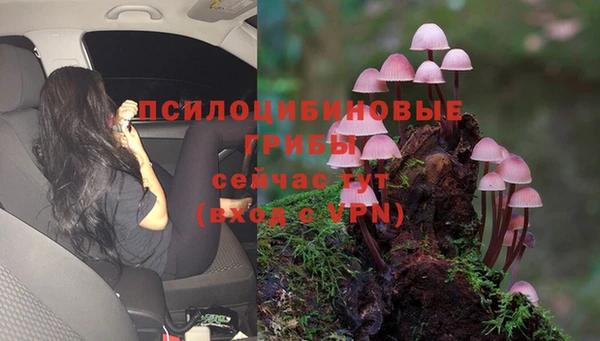 альфа пвп VHQ Гусиноозёрск