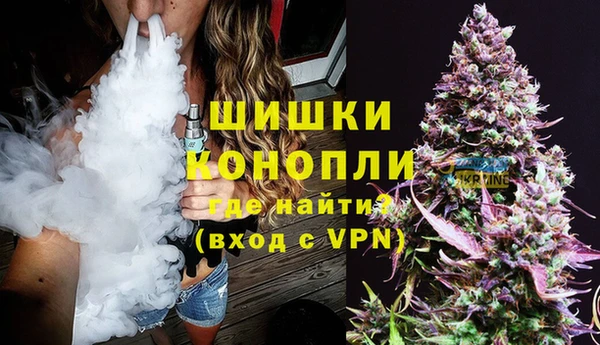 прущие грибы Гусев
