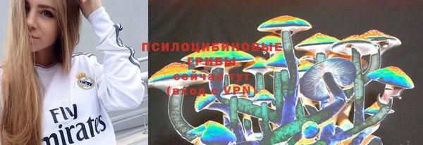 mdma Горняк