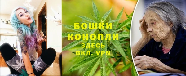 прущие грибы Гусев