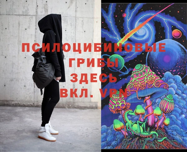 прущие грибы Гусев